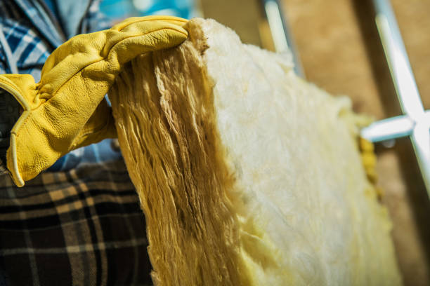 Best Fiberglass Insulation  in Brunswick, GA