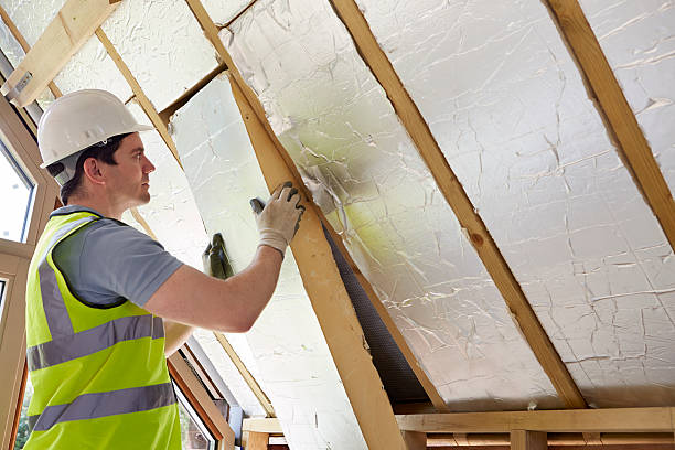 Best Insulation Removal Services  in Brunswick, GA